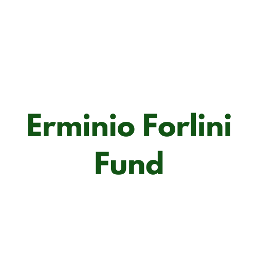 Erminio Forlini Fund